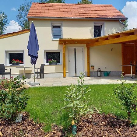 Ferienhaus Richtermuehle Sebnitz Ngoại thất bức ảnh
