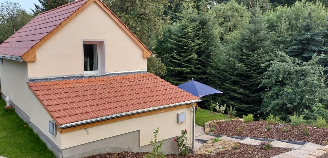 Ferienhaus Richtermuehle Sebnitz Ngoại thất bức ảnh