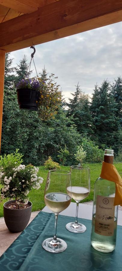 Ferienhaus Richtermuehle Sebnitz Ngoại thất bức ảnh